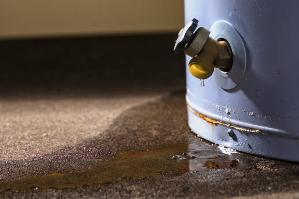 Best Flood damage cleanup  in Angola, NY