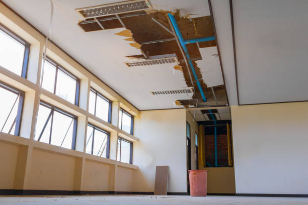 Best Carpet water damage restoration  in Angola, NY