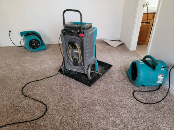 Best Commercial water damage restoration  in Angola, NY