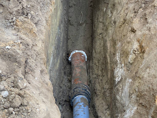 Best Professional water damage repair  in Angola, NY