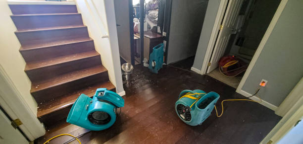  Angola, NY Water damage restoration Pros