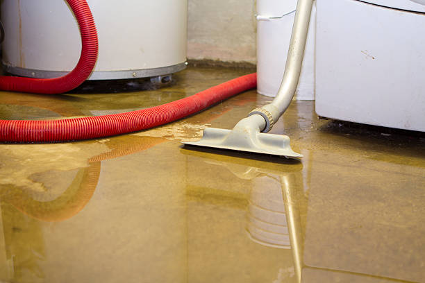 Best Residential water damage restoration  in Angola, NY