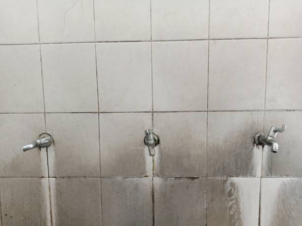 Best Water damage mitigation services  in Angola, NY