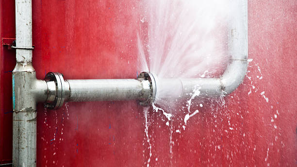 Best Ceiling water damage repair  in Angola, NY